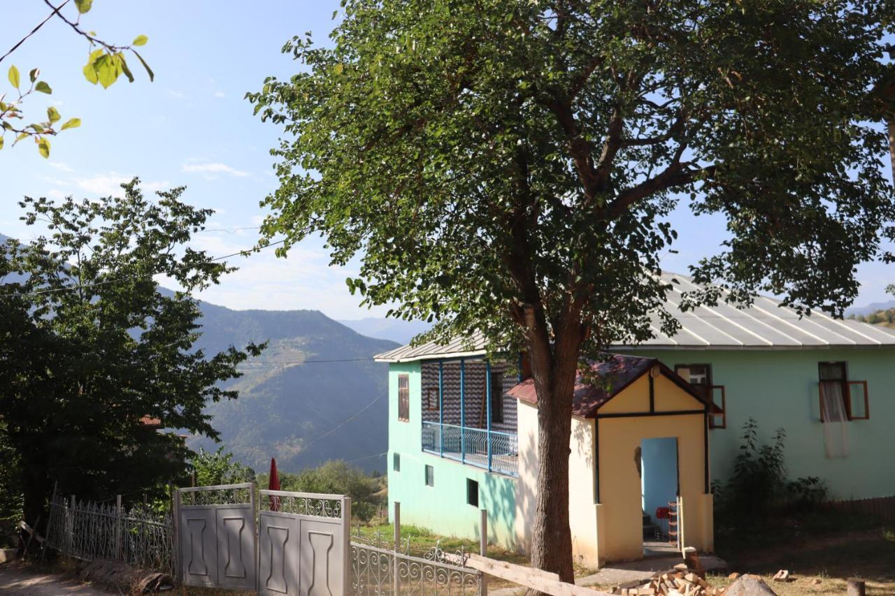 Guest House Chveni Ezo Khulo Bagian luar foto
